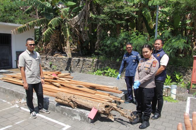 
					Keterangan: Kapolres Jembrana, AKBP Cheery S.M. Simamorang. bersama jajaran saat menunjukan barang bukti kepada wartawan. Kamis (22/10/2026). 

Sumber : Hum JBR/JPOST